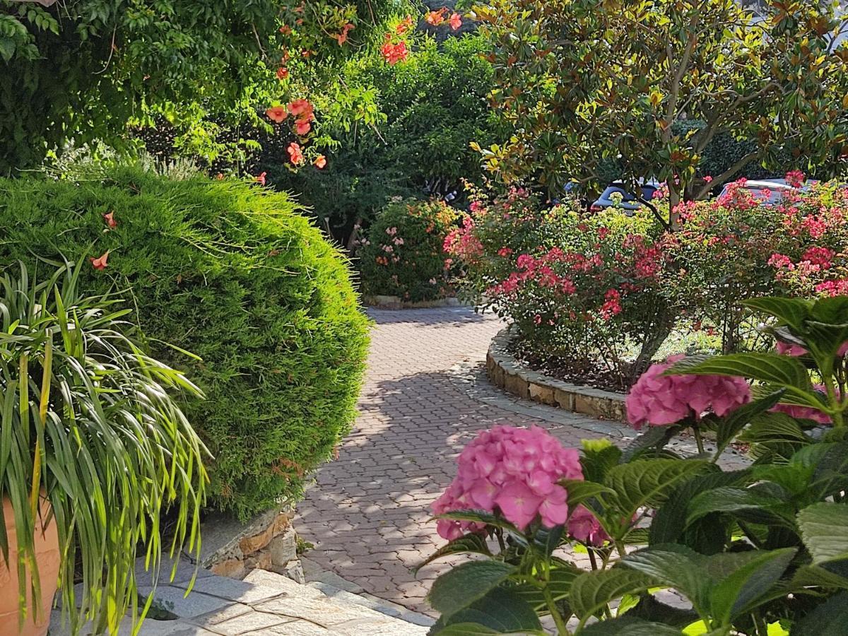 Ca De Rossana Bed&Breakfast Санремо Экстерьер фото